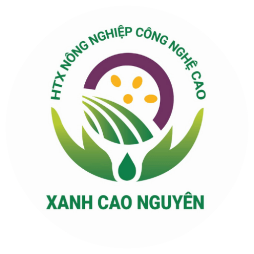 HTX Xanh Cao Nguyên